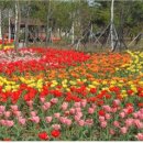 청초호유원지(남측) 이미지