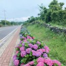 안덕면행정복지센터 이미지