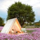 주목정원 이미지