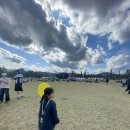 가평카센타 | 2025 자라섬재즈페스티벌 후기