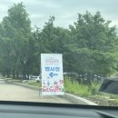 가평 자라섬 꽃 페스타 2025, 축제 첫날 휠체어 타고 방문 후기