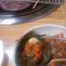 꼴통돼지 이미지