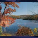 대한장식 이미지