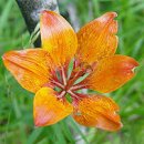 야탑2동행정복지센터.차병원 이미지