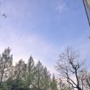 GS25 전대후문점 네이버블로그