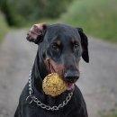 에이오에스 이미지