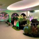 W여성병원 이미지