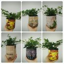 고한중학교 이미지