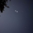 잔별