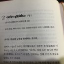 푸루샤(purusa)