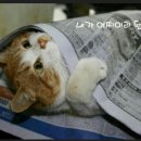 신동아행복한어린이집 이미지