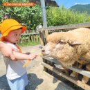 한우드림제2농장 이미지