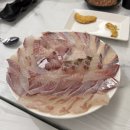 까치놀수산 | 맛집 까치놀 수산에서 대방어 먹은 내돈내산 후기(주말웨이팅) 블로그 후기랑 다른게 많아서 아쉬웠던 후기