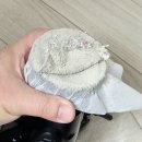 남중이네세탁 | 비치움 공간케어 안양 매트리스청소 양면 습식케어 솔직후기
