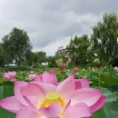 부여테마여행 이미지