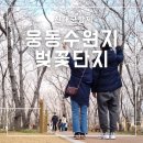 까치울마을1단지주차장 | 웅동수원지 벚꽃단지 개방 진해군항제 후기 주차 셔틀버스