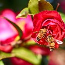 쌩텀펜션 이미지