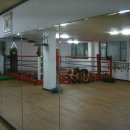 엑투 복싱 Daum카페