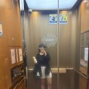 룰루레몬 소프트스트림 하이라이즈 쇼츠 4인치 후기