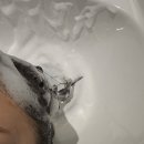 당진카크리닉 이미지