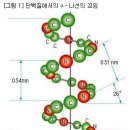 건강을 찾는 사람들