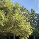 양평체육공원길 이미지