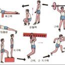 팀케이MMA짐 이미지