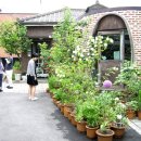 Ttable-office 이미지