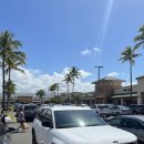 동부카서비스 | 하와이 와이키키 렌트카 추천 호놀룰루 공항 오아후 한국업체로 예약해야하는 이유