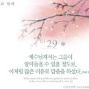 매일이기적