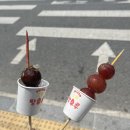 달콤왕가탕후루 김제점 이미지