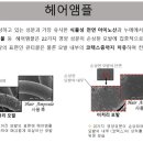 염색&두피 해운대점