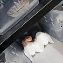 아이엠게코