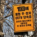 주정차단속-100 이미지