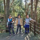 성진목장 이미지