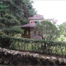 완월동125 이미지