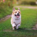 청라종합동물병원 이미지