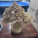 백석당구클럽 이미지