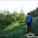 용리농장 이미지