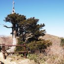 덕유갈비 이미지