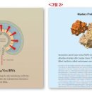 육하원칙 이미지