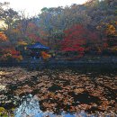 풍경쉼터 이미지