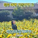 계림촌 | 11월 가을 경주 여행 무료로 가볼만한 곳 포토존 TOP 3