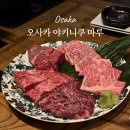 조금마루 | 오사카 야키니쿠 맛집 마루 신사이바시 예약 가격 맛까지 솔직 후기