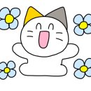 일호참치 이미지