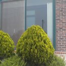 금마로공인중개사사무소 이미지