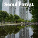 서울숲 서울국제정원박람회 후기｜포켓몬 시크릿 포레스트｜캠핑산업전