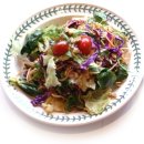 올드 트리 이미지