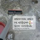 천안 새마을금고 연수원 백화제거청소 작업후기- 전문업체 매직크린(BC100설명)
