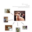 [나무은신처][나무계단]후기입니당☆ 고슴도치 기니피그 찬이공방 찬이생각 소동물 원목 용품